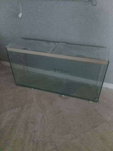 betta balıq: Şüşə akvarium çox baha alinib - Düzbucaqlı forma, şəffaf şüşə gövdə - — 1