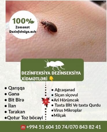 en yaxsi xalca yuma hansi: Dezinfeksiya, dezinseksiya | Taxtabiti, Birələr, Tarakanlar | Nəqliyyat, Ofislər, Mənzillər — 8