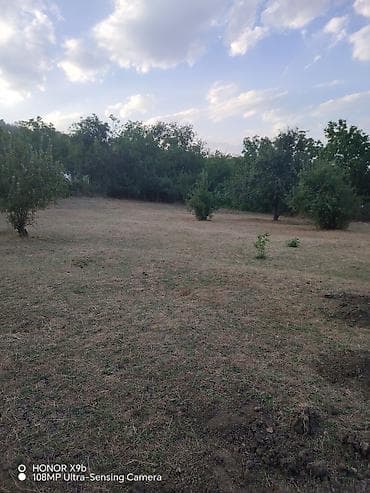 20 yanvar satilan evler: 12 sot, Kənd təsərrüfatı, Mülkiyyətçi, Kupça (Çıxarış), Texniki pasport — 2