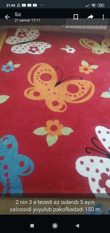 dəhliz üçün xalçalar: Xalça — 1