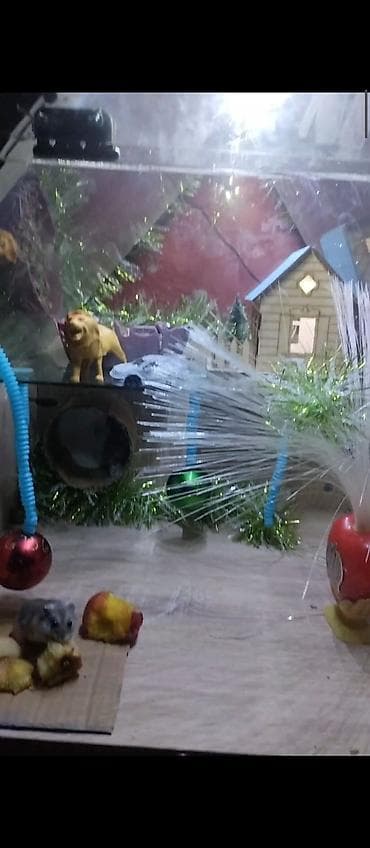 akvarium lampa: Məhsul: Dekorativ işıqlı akvarium/teraryum vitrin-kabinəsi Təsvir: - — 8