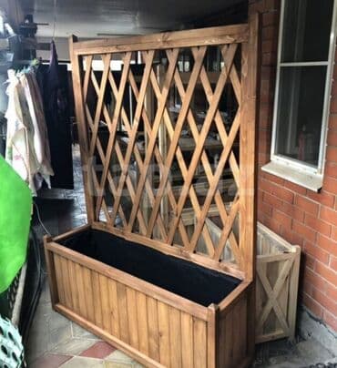 mal dili kaktus: Taxtalar ile ev, bağ, restoran, ofis, otel ve s. məkanlarınızın müasir — 1