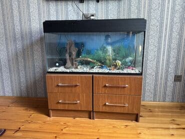 купить аквариум: Прямоугольный аквариум, Пустой, 150 л, Самовывоз — 2
