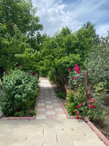 17 sot, Tikinti, Mülkiyyətçi, Bələdiyyə