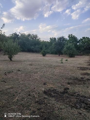 20 yanvar satilan evler: 12 sot, Kənd təsərrüfatı, Mülkiyyətçi, Kupça (Çıxarış), Texniki pasport — 3