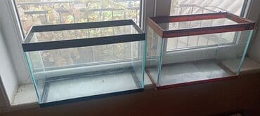 аквариум баку: Akvariumlar tecili satılır qiymeti razılaşma yoluile — 1