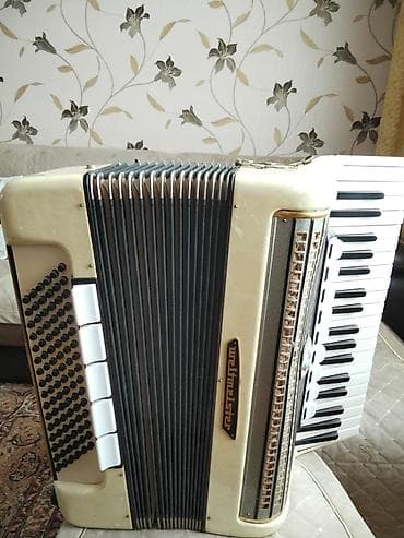 Музыкальные инструменты: Акустический Аккордеон — 6