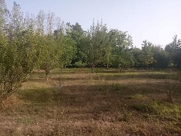 torpaq barter: 8 sot, Tikinti, Maklerlər narahat etməsin, Kupça (Çıxarış) — 5