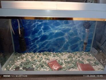 Heyvanlar üçün mallar: Dördbucaq akvarium, Boş, 10 l, Ünvandan götürmə — 5