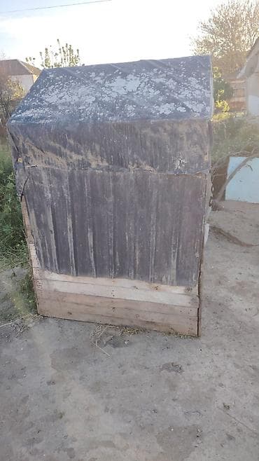 Другие животные: Satılır quşxana ünva: saray Nömrə:0773268150 taxdada dır çürüyü — 3