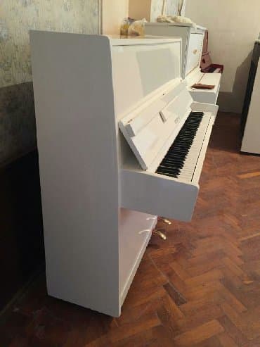 piano dersleri baki: Puanino Rusiya stehsalı. Əla vəziyyədədi. Cadırılma və köklənmə — 1