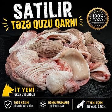 sobo wp 6001: Məhsul: Təzə quzu qarnı (it yemi üçün). - 100% təzə, yüksək — 1