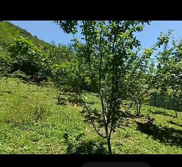 sumqayıtda torpaq: 4 sot, Tikinti, Mülkiyyətçi, Kupça (Çıxarış) — 7
