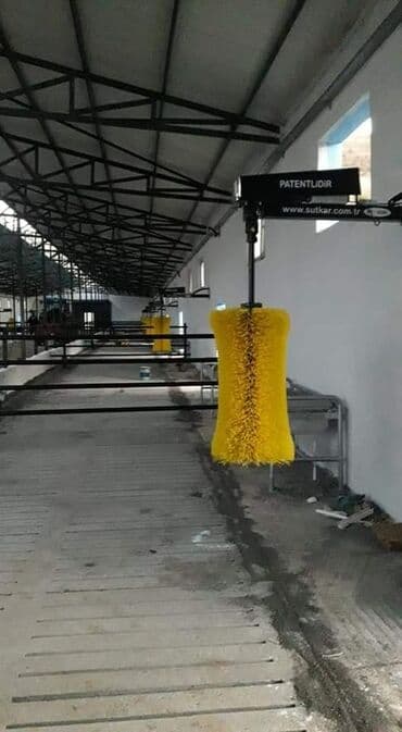 Fermer təsərrüfatlarında heyvanların təmizlənməsi üçün nəzərdə