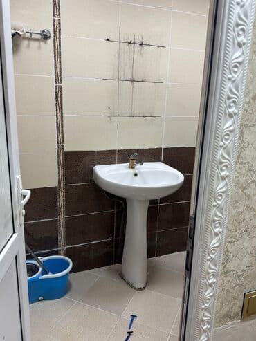 Çanaqlar, tülpanlar