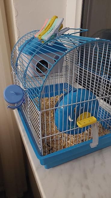 Yuvalar: 2 qefesde 7 hamster cunqarik var. Sebeti alana hamsterleri ödənişsiz — 1