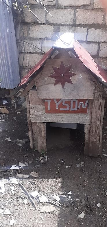 it damları: Taxta it evi - Material: möhkəm taxta karkas, ikiqat taxta divarlar; — 1