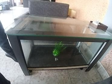 su cəni 5 ton: Jurnal masası, Açılmayan, Şüşə, Dördbucaq masa — 3