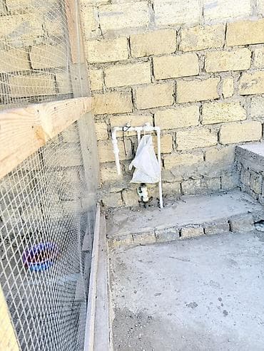 masazirda satilan evler type 1: 4 otaqlı, 170 kv. m, Təmirsiz — 5