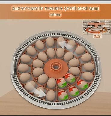 Biznes üçün avadanlıq: Çin, Tam avtomat — 3