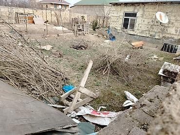 villa insaat mmc: Tikinti — 6