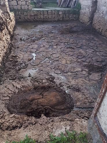 Pulsuz yaş peyin pulsuz yaş peyin yığdırmaq bizlikdi unvan ramani