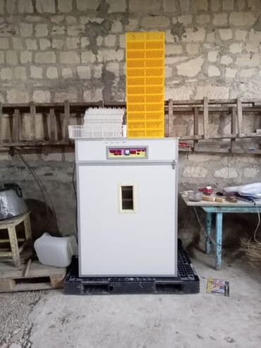 Avtoservis avadanlıqları: 1100 yumurta, Çin, Bütün növ quşlaq üçün — 4