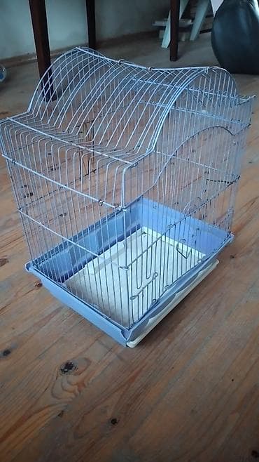 qus yuvasi duzeltmek: Quş qəfəsi — 1