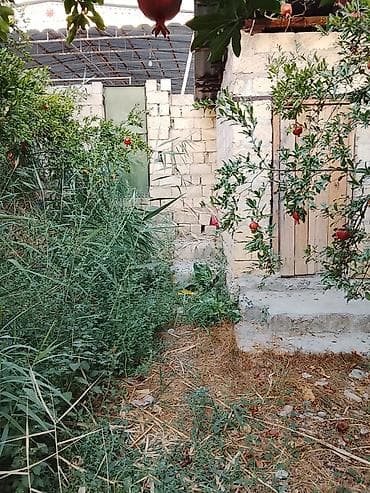 qax ilisu ev satilir: 8 sot, Maklerlər narahat etməsin, Kupça (Çıxarış) — 4