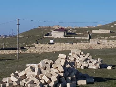 bine atcılıq: 80 sot — 6