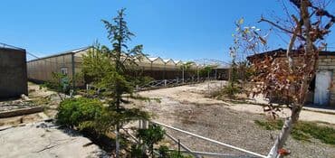 turkanda ev: Bakı, Türkan qəs., 1500 kv. m, 7 otaqlı, Hovuzlu, Qaz, İşıq, Su — 15