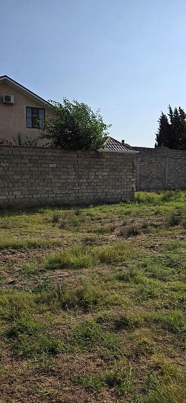 binə evlərin satışı: 50 sot, Tikinti, Kupça (Çıxarış) — 7