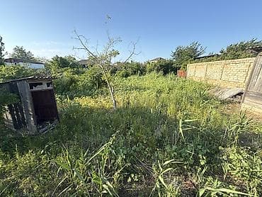 8 sot, Tikinti, Kupça (Çıxarış) — 4