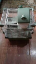 xamyak qiymeti: Shekilleri cevirin Xamyak ucun qefes satilir qiymeti 25 azn böyük — 27