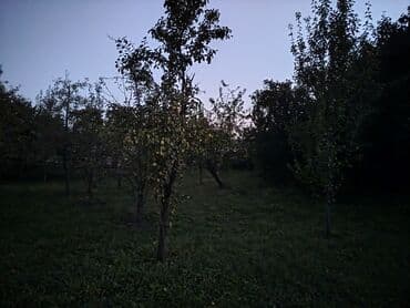 xacmazda torpaq: Kənd təsərrüfatı — 2