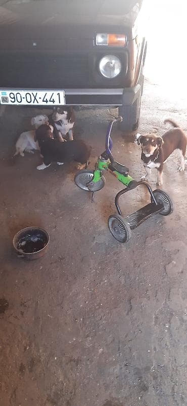 ekskavator satisi kreditle: Uşaq skuterinin gövdəsi və hissələri - Rəng: yaşıl-qara, sapı mavi - — 1