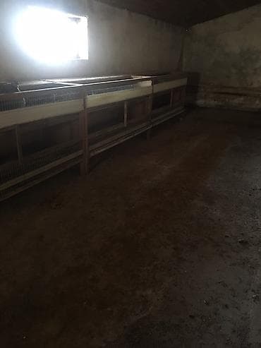 Pişiklər: Bildircin qefesleri var 15ededdir biri 40 awagi yeri olacaq hamisini — 4