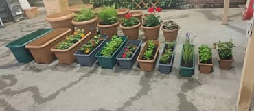 подставки для цветов: Dipcekler (Gül dipçekleri) gul qabilar dipcekler ferqli çesidler — 1