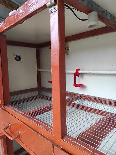 ınqbator: Evdə və ya təsərrüfat üçün ideal həll! Keyfiyyətli materialdan — 3