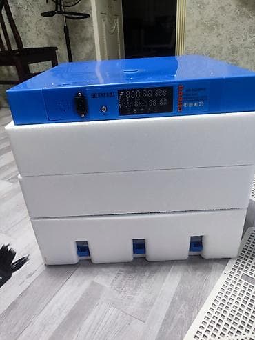 mini ps5: Tam avtomat — 4