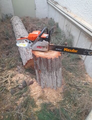 bağban iş: Adim ƏLi. bağban işliyirəm.ağaclarin kesilməsi,dərmanlanmasi lazim — 1