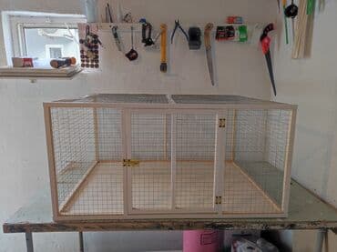 Papuqay,dovşan,hamster,şinşila,bildirçin,cücə,xamyak,pişik,quş,tısbağa