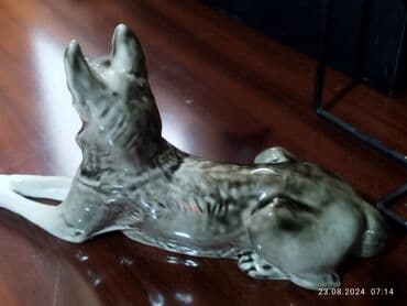 qara qarayev tibb kurslari: SSSR super vəziyyətə — 6