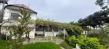 torpa: Tikinti, Kupça (Çıxarış) — 3