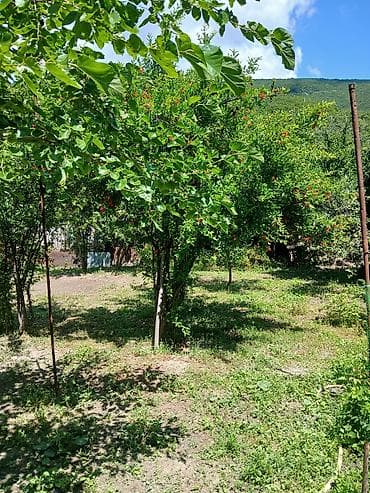 2 saatliq kiraye ev: 4 sot Biznes üçün, Qaz, İşıq, Su — 2