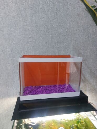 компрессор для аквариума бишкек: Ölçü 30×20×15

Ev və ofis üçün estetik, baxımı asan mini akvaryum — 2