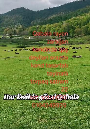 22 sot, Kənd təsərrüfatı, Bələdiyyə