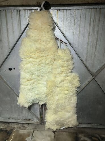 фольксваген модельный ряд и цены: QARAJDAN SATIŞ🚗 Maşın əşyaları qarışıq, müxtəlif modellər üçün — kimə — 24