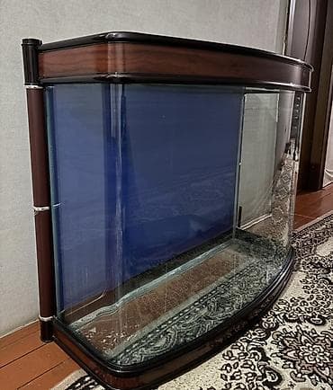 Akvaryum dəsti – şüşə akvarium, dolab və xarici filtr Dəstdə olanlar