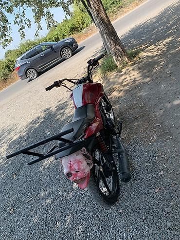 motor fiyatları: Salam aleykum problemsiz motodu qiymet de endirim edecem 80 kubdu 90 — 8